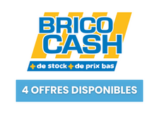 logo bricocash avec ces offres disponibles