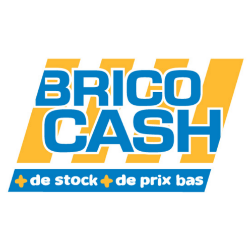 Black Friday Brico Cash : Jusqu'à -50 % sur de l'outillage et le